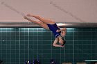 Women's Diving  Wheaton College Women’s Diving vs Mount Holyoke College. - Photo by Keith Nordstrom : Wheaton, Swimming & Diving